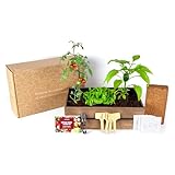 Mini Huerto Urbano Vintage - Semillas Orgánicas de España - (Lechuga, Rábanos, Pimientos Verdes y Tomates Cherry) - Kit Completo para Cultivar tus Hortalizas Frescas en Casa