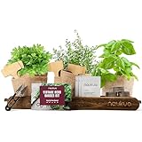 Mini Huerto Urbano Vintage de Plantas Aromáticas y Culinarias (Tomillo Albahaca Perejil y Cilantro) - Semillas Orgánicas de España - Kit Completo para Cultivar tus Hierbas Frescas en Casa