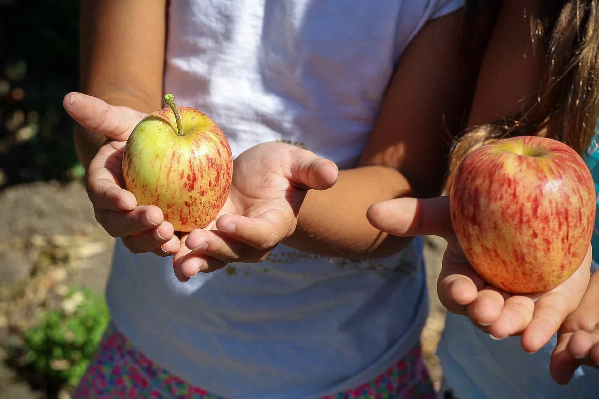 Niños sujetando manzanas