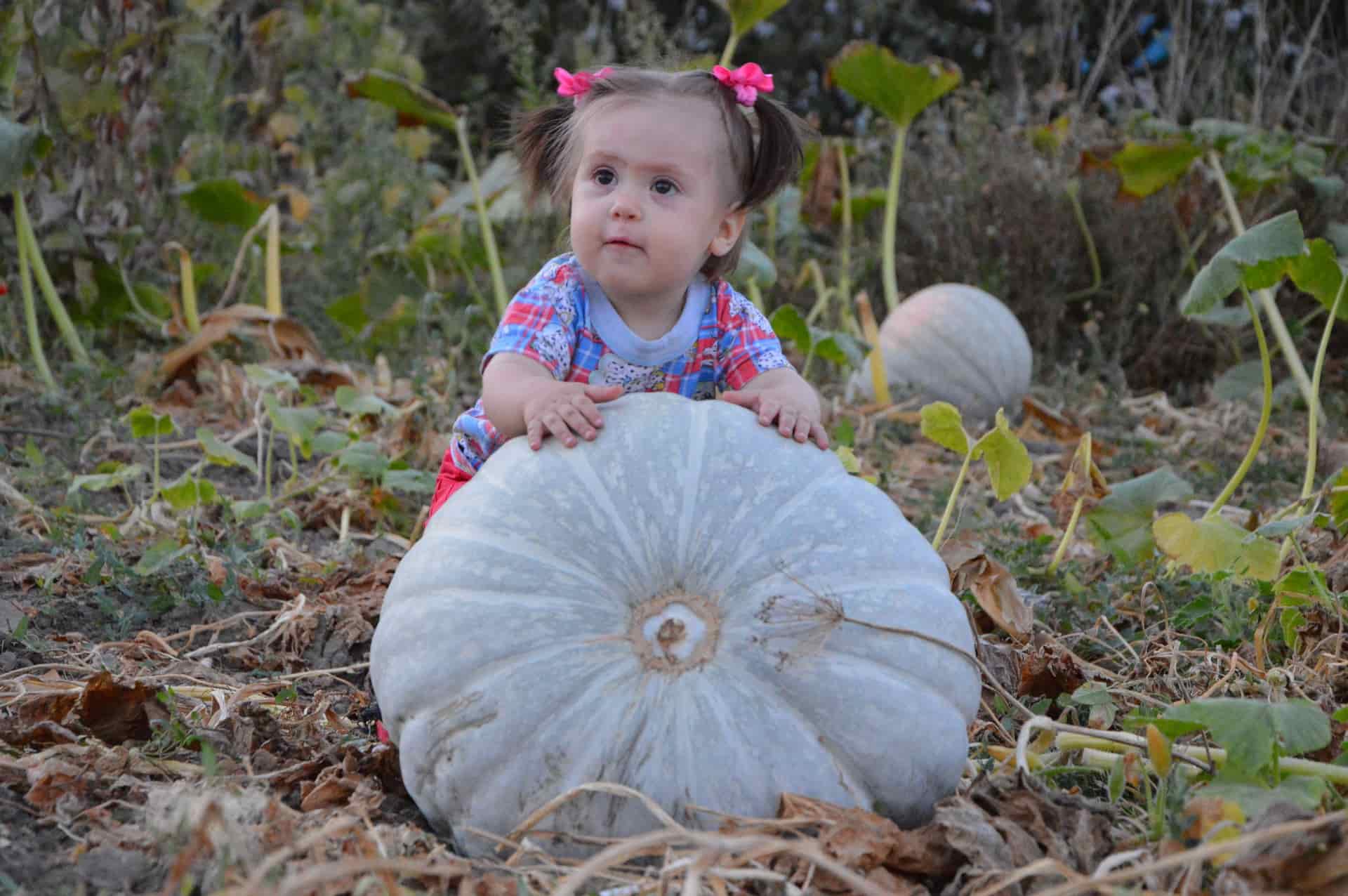 Niña con una calabaza